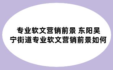 专业软文营销前景 东阳吴宁街道专业软文营销前景如何